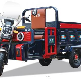 China adult electric tricycle factory