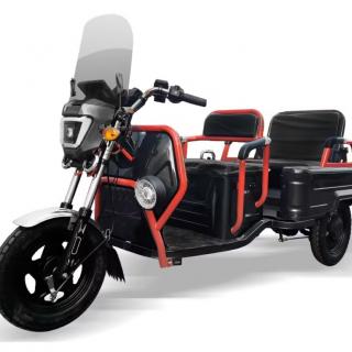Best electric tricycle for adults
