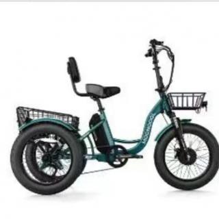 ELECTRIC  TRIKES