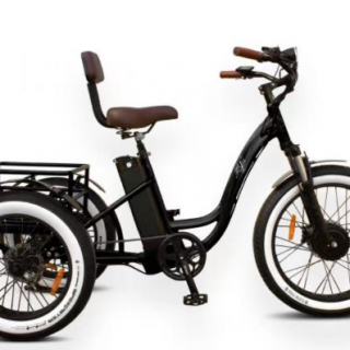 ELECTRIC  TRIKES